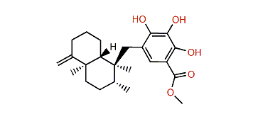 Dictyoceratin A